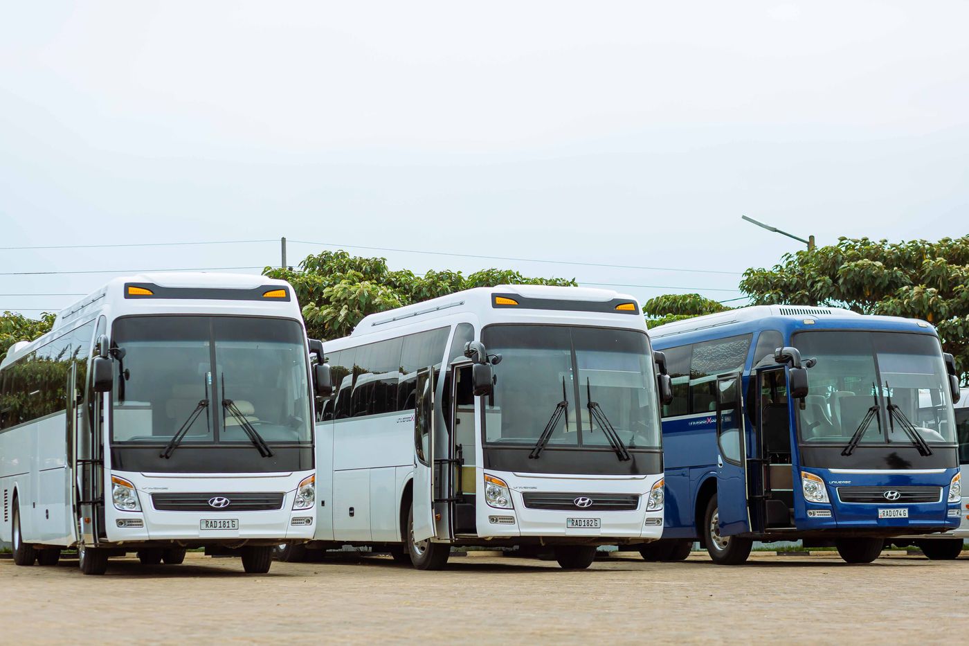 LuxBusExpress.com full fleet of luxury motorcoaches and charter buses lined up